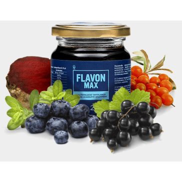 FLAVON MAX (Flavonmax) 240 g